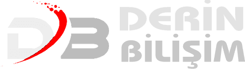 Derin Bilişim